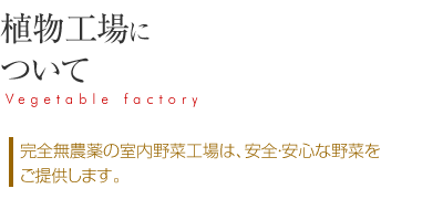 植物工場について