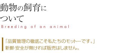 植物工場について